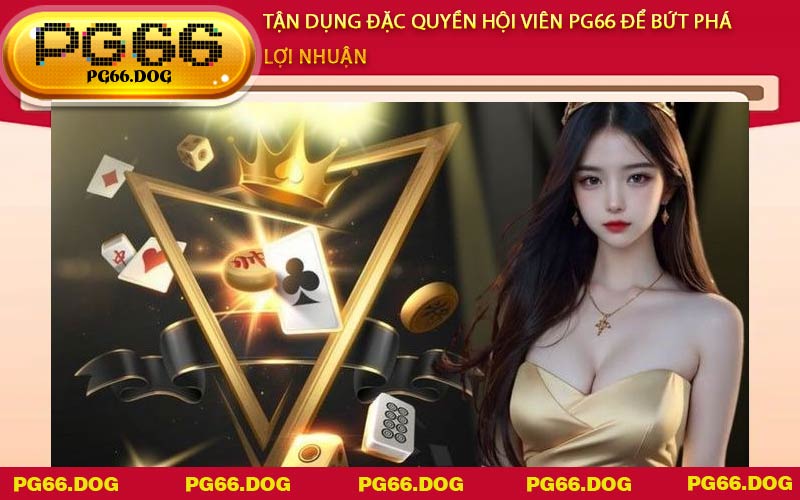 Tận dụng đặc quyền hội viên PG66 để bứt phá lợi nhuận
