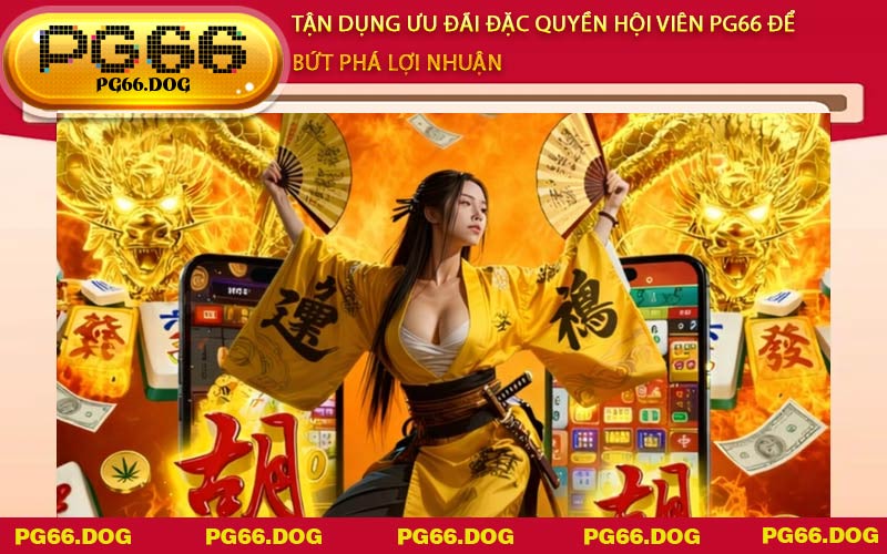 Tận dụng ưu đãi đặc quyền hội viên PG66 để bứt phá lợi nhuận
