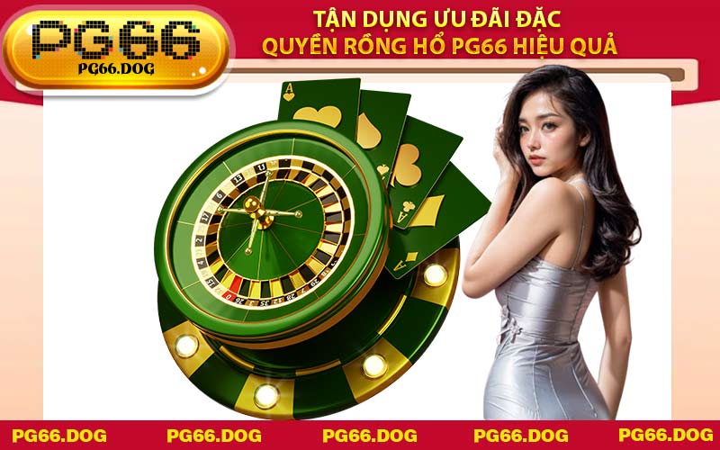 Tận dụng ưu đãi đặc quyền Rồng Hổ PG66 hiệu quả