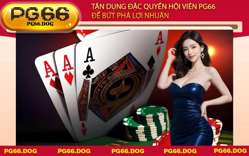 Tận dụng đặc quyền hội viên PG66 để bứt phá lợi nhuận