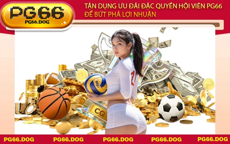 Tận dụng ưu đãi đặc quyền hội viên PG66 để bứt phá lợi nhuận